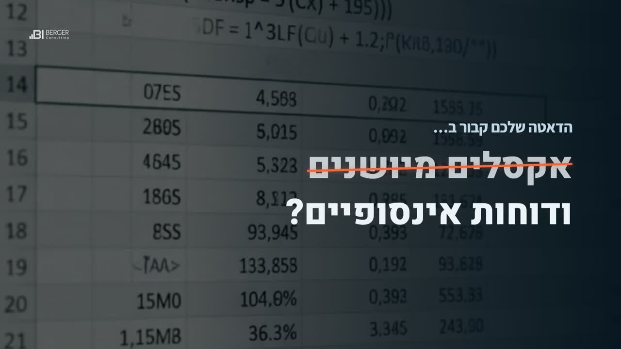 סרטון תדמית Berger BI Consulting